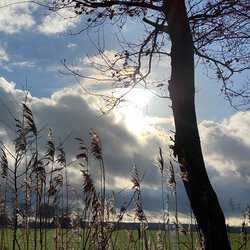 Herbst IV